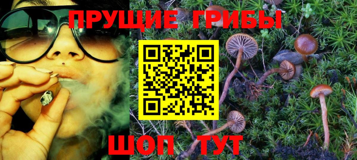 Галлюциногенные грибы Psilocybe Ялта