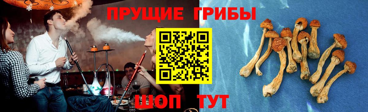 Галлюциногенные грибы мухоморы  Псилоцибиновые грибы Psilocybe  Вход с VPN  Ялта 
